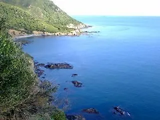 La Pavoncella *