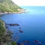 La Pavoncella *