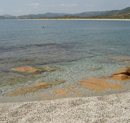 La Pavoncella *